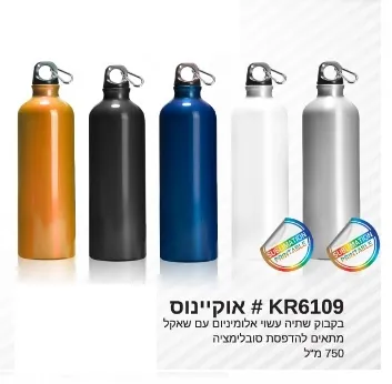 בקבוק שתיה אלומיניום